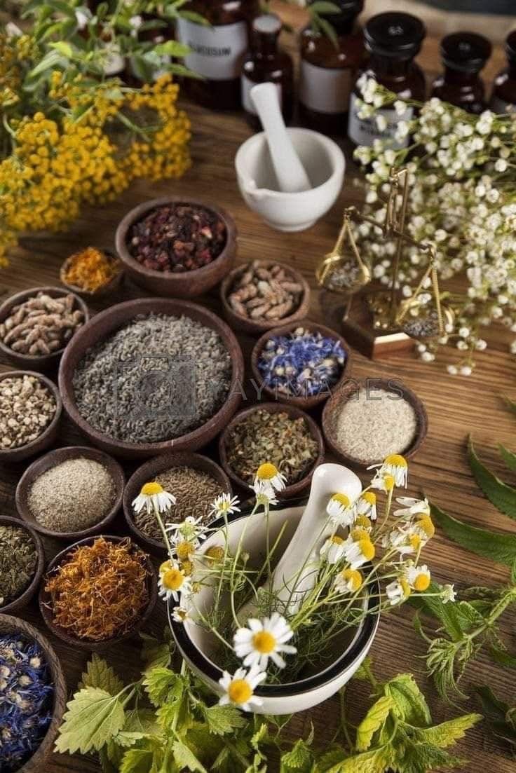 "أشهر المواد الحافظة الطبيعية الآمنة لمستحضرات التجميل"