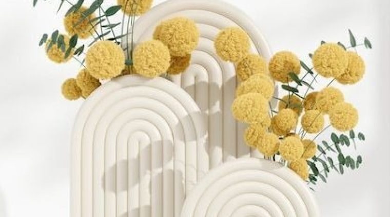 WhatsApp Image 2026-01-08 at 10.15.55