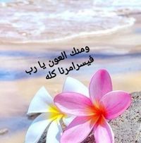 Profile picture of رحيق الزهور