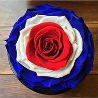 Profile picture of الحديقة السرية