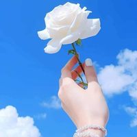 Profile picture of Amal Ghannam
