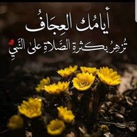 Profile picture of ايام وحكايات تميمي