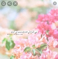 Profile picture of Najiya Lahlabat